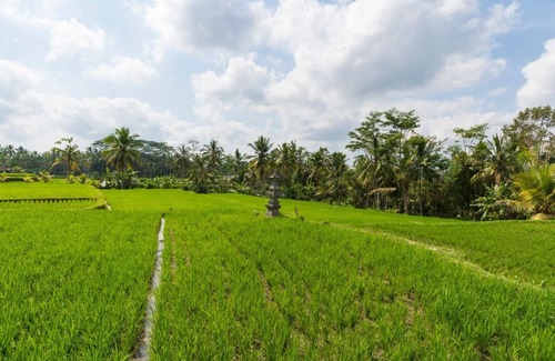 Kenderan Villa | Villa with Private Pool