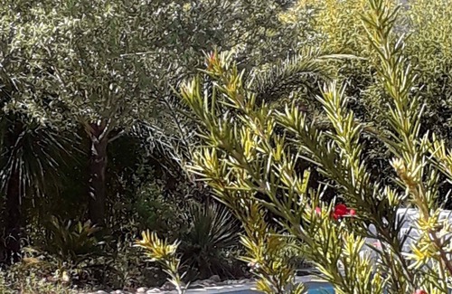 Camps-la-Source Villa | Villa with swimming pool 11 people