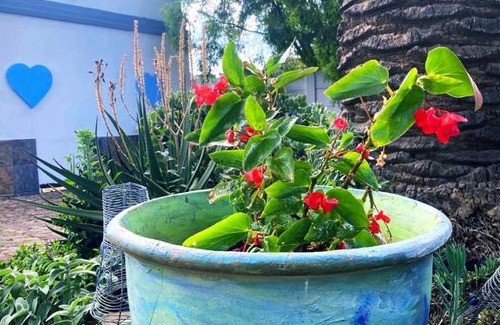 Klerksdorp House | VillaMed Guesthouse