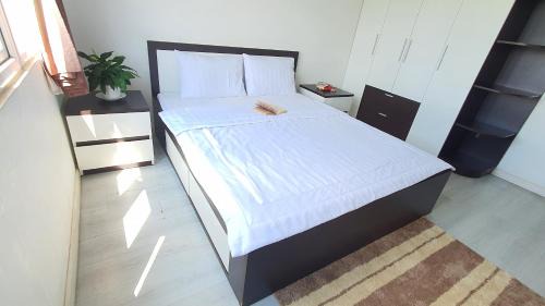 District 9 House | Villapark Home