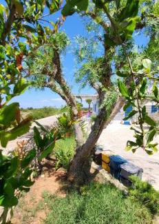 Pizzo Villa | Ville Torre del Pizzo