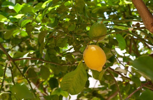 Torre Rinalda Villa | Villetta 'Ginevra' with Sea View, Private Terrace and Air Conditioning