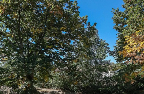 Senouillac House | VINEYARD HOUSE - QUIET - GAILLAC