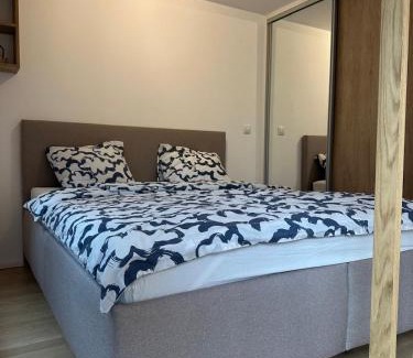 Prague 2 Apartment | Vinice house