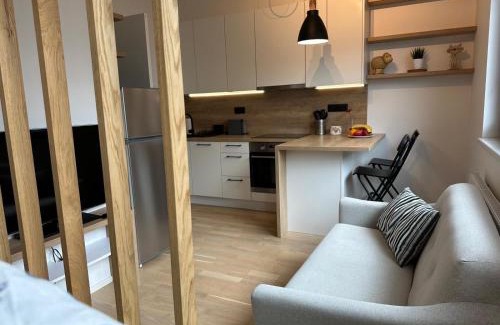 Prague 2 Apartment | Vinice house