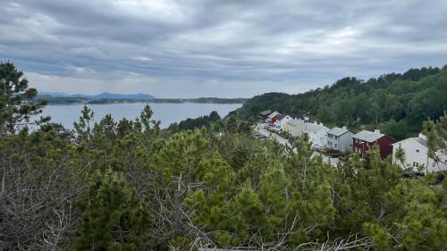Kristiansund House | Vintage apartment with fresh sea air and pets