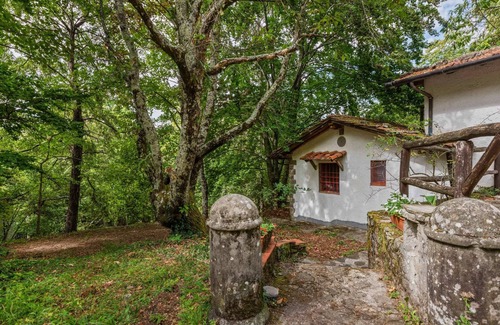 San Marcello Piteglio House | Vintage Vacation Home