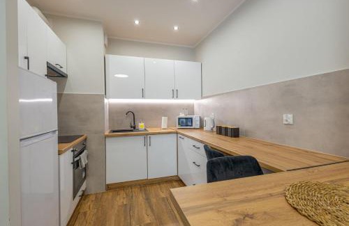 Rzeszow Apartment | VIP Apartamenty Wieniawskiego