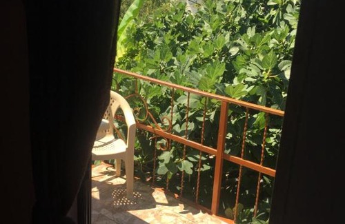 Vishnevka House | Vishnevka Guesthouse