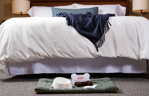 Downtown Portland Hotel | Visit the Portland Japanese Gardens! Premium Accommodation at Dossier Hotel!