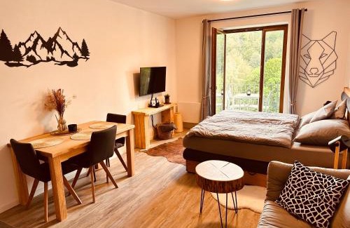 Rokytnice nad Jizerou Apartment | Vista 14