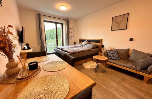 Rokytnice nad Jizerou Apartment | Vista 14