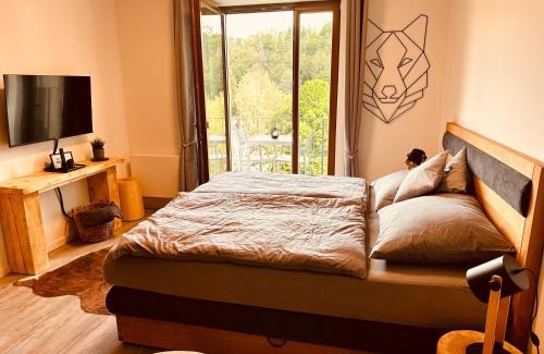 Rokytnice nad Jizerou Apartment | Vista 14