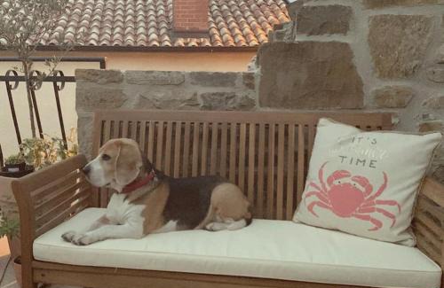 Sculci Villa | Vista lago, perfect hideaway