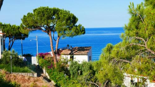 Sperlonga Apartment | Vista mozzafiato sul mare!