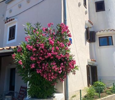 Ustrine House | Vita Vacation Home