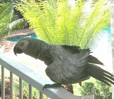 Waterkloof Glen Bed & Breakfast | Viva-Africa