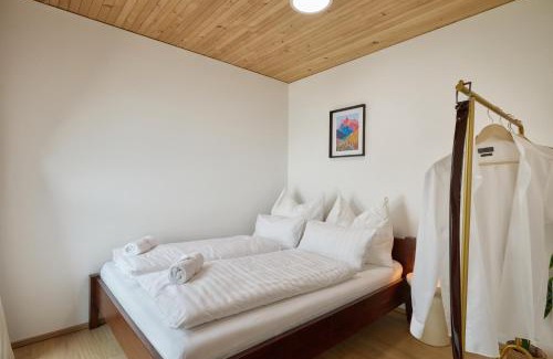 Dornbirn Apartment | VORALIVING - Modernes Neubau Apartment Toplage - Business & Urlaub - WLAN, 24 7 Check-in