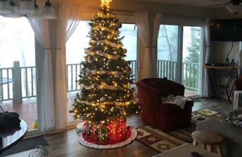 Topton Cottage | Vrbo Property