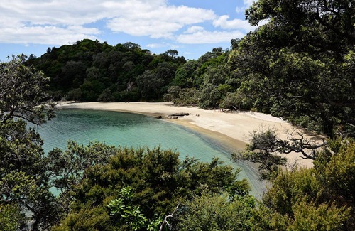 Ngunguru Cabin | Waiotoi NZ - The Bush Hideaway