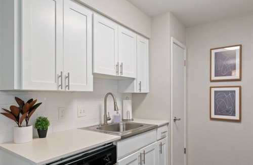 Zilker Apartment | Walk to Barton Springs | Spacious + Free Parking