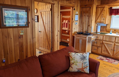 Traphill Cabin | Walk to North Carolina's Stone Mountain State Park! Beautiful Waterfalls