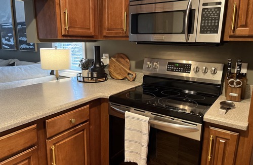 Helen Apartment | WALK to Oktoberfest! Elevator & 2 BDRMS just off Main St.