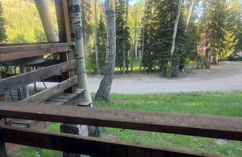 Beaver Condo | We offer an allergy free environment. Thank you for no pets.smoking, or vaping.