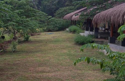 Wilgamuwa Hotel | Web of Life Resort Wasgamuwa