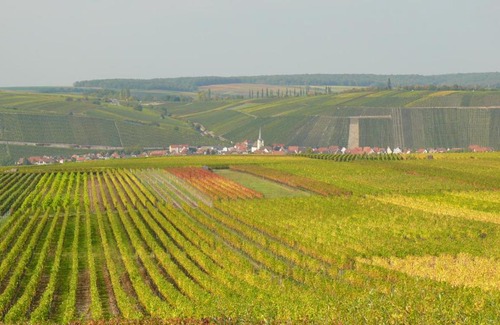 Nordheim a. Main Bed & Breakfast | Weingut Herbert Kram