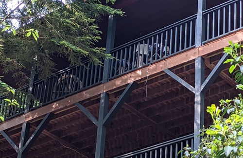 Tarheel Cabin | Welcome to Black Clock Cabin. Relax and enjoy the peaceful sounds of nature.