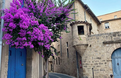 Pezenas House | Well-equipped 3+ BR, 2 bath village house close to the historic centre - Pézenas