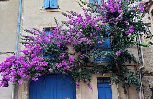 Pezenas House | Well-equipped 3+ BR, 2 bath village house close to the historic centre - Pézenas