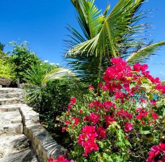 Oyster Pond House | Well maintained and makes you feel right at home