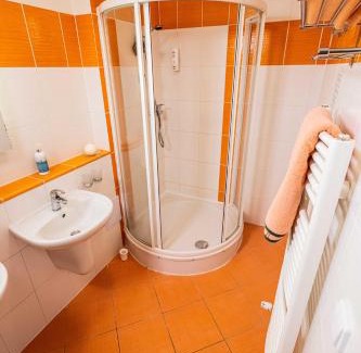 Frymburk Apartment | WELLNESS HOTEL FRYMBURK APARTMAN 502C