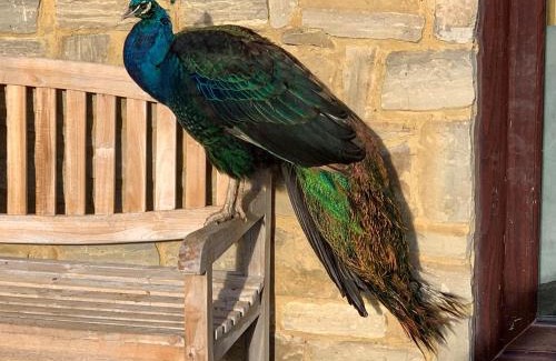 Weston-on-the-Green House | Weston Grounds Farm