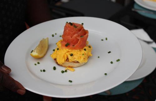 Froggy Farm Hotel | Whale View Manor & Spa