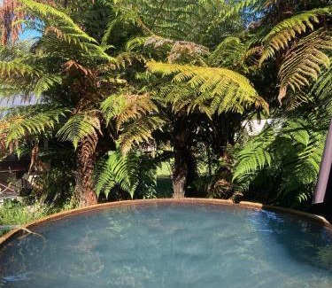 Tokaanu House | Whare&geothermal pool by lake Taupo