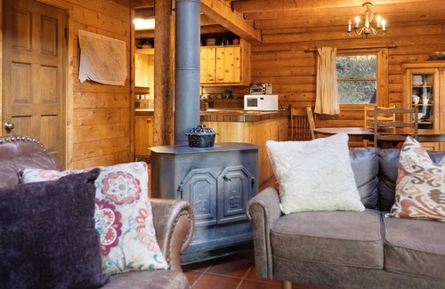Idyllwild House | Whispering Ridge Cabin with Spa & Mountain Bliss