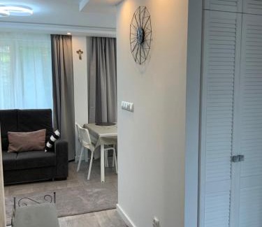 Iwonicz-Zdroj Apartment | White Apartment