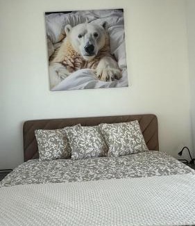 Suwalki Apartment | White Bear Apartment