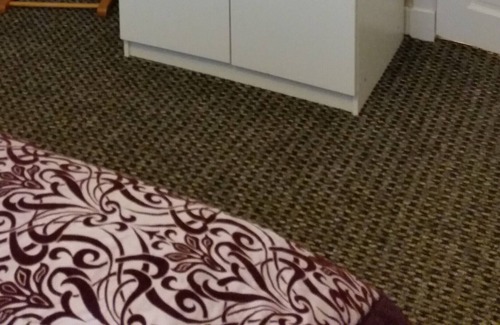 Dumfries Apartment | Whole apartment in the center of Dumfries