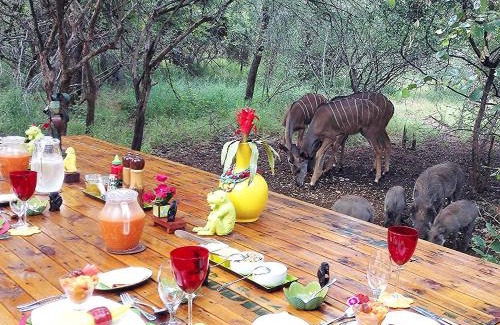 Marloth Park Cabin | Wielewaal Bush Lodge