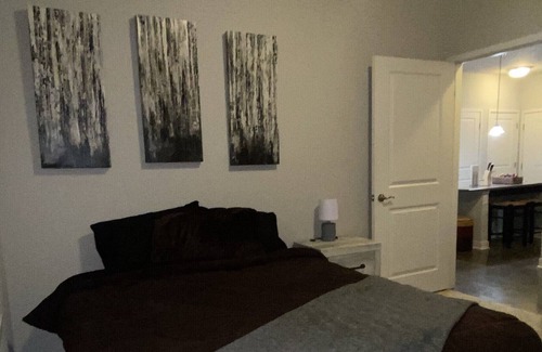 Downtown Indianapolis Apartment | WiFi, 24hr gym, pool, media center 3 min walk to hospital, food, entertainment!