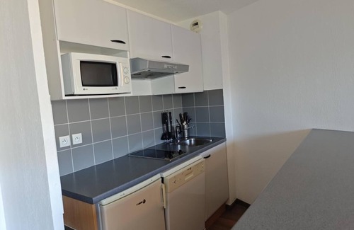 Loudervielle Apartment | Wifi, fitness, swimming pool, sauna, ski locker, 52-60m², Peyragudes