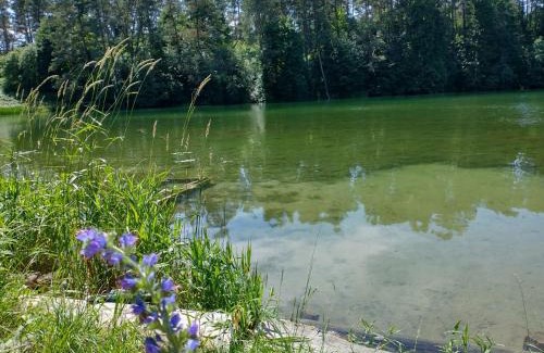 Plociczno-Tartak House | Wigierska Chatka