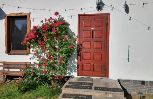 Plociczno-Tartak House | Wigierska Chatka