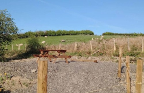 Llandovery RV Rental | Wild CampingGH