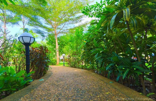 Sai Thai Hotel | Wild Orchid Villa Krabi