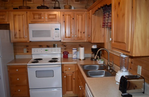 Pigeon Forge Cabin | Wild Thang Perfect for Your Summer Vacation!